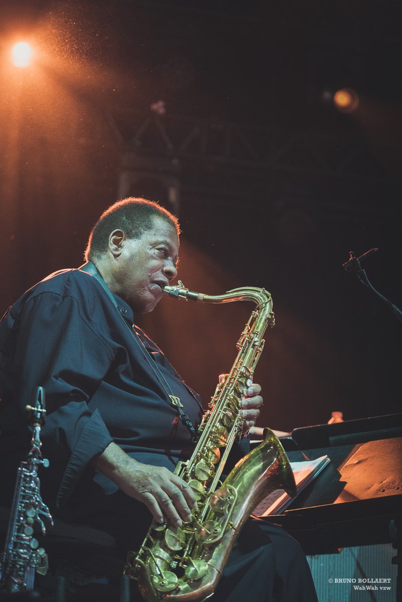 Gent Jazz (@gentjazz) on Twitter photo Happy birthday mister <a href="/Wayne_Shorter/">Wayne Shorter</a>! Het is al sinds 2017 geleden dat je nog op eens ons festival stond, maar we hopen om je toch nog eens te mogen verwelkomen op ons podium!
(c) <a href="/volume12/">Bruno Bollaert</a> Happy birthday mister <a href="/Wayne_Shorter/">Wayne Shorter</a>! Het is al sinds 2017 geleden dat je nog op eens ons festival stond, maar we hopen om je toch nog eens te mogen verwelkomen op ons podium!
(c) <a href="/volume12/">Bruno Bollaert</a>