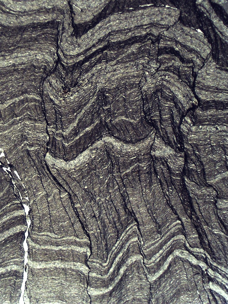 Dancing queens 💃
#geology #structuralgeology