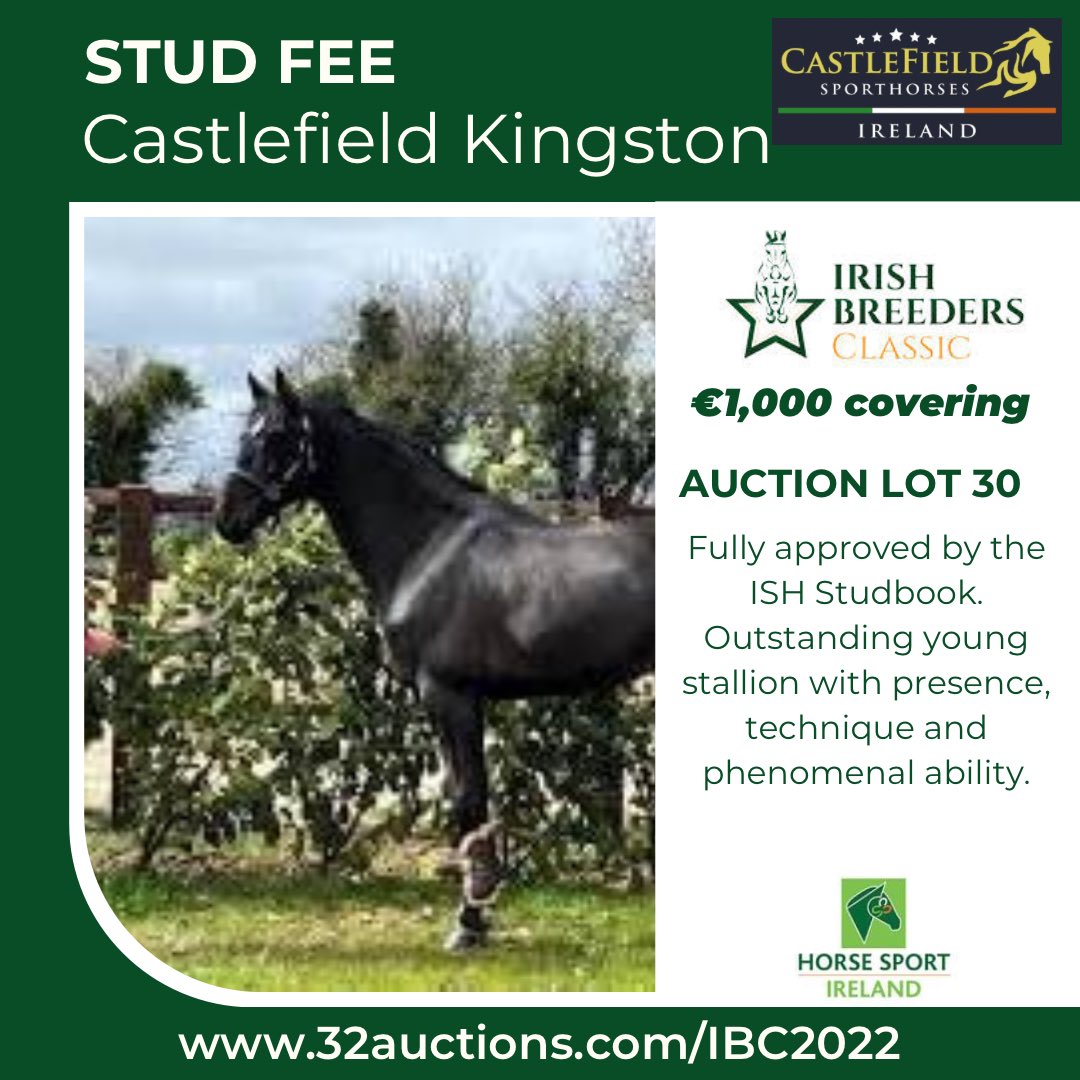 Irish Breeders Classic tweet media