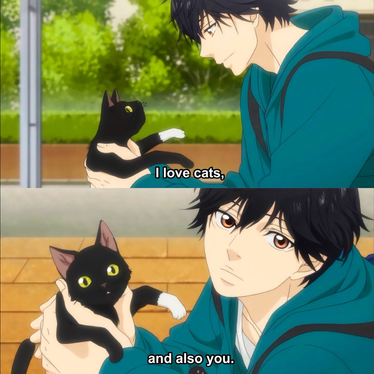 Anime : Ao Haru Ride