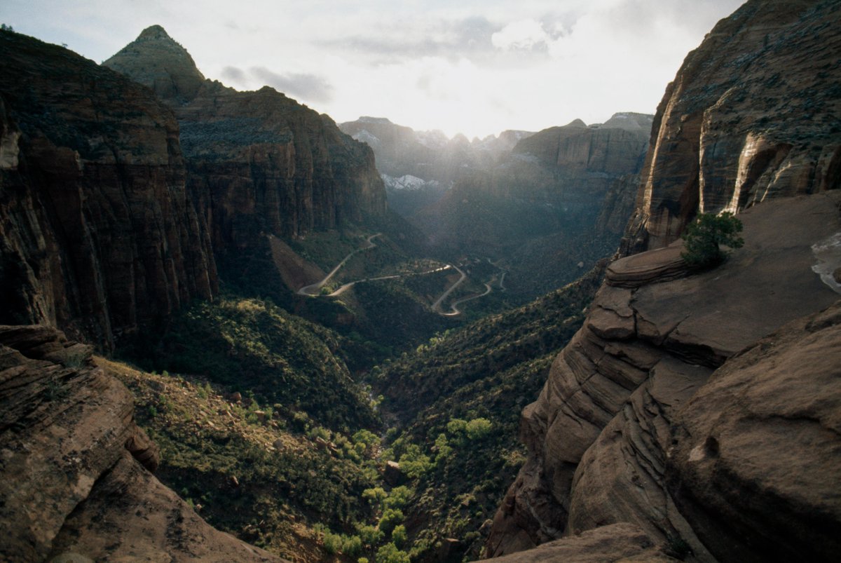 NatGeo's tweet photo. HAPPY BIRTHDAY @NatlParkService! 🥳 🎂 Your beauty hasn't aged a day. Had to dig up some of these gems from the past 106 years #NPSBirthday https://t.co/4EMNoIxuws