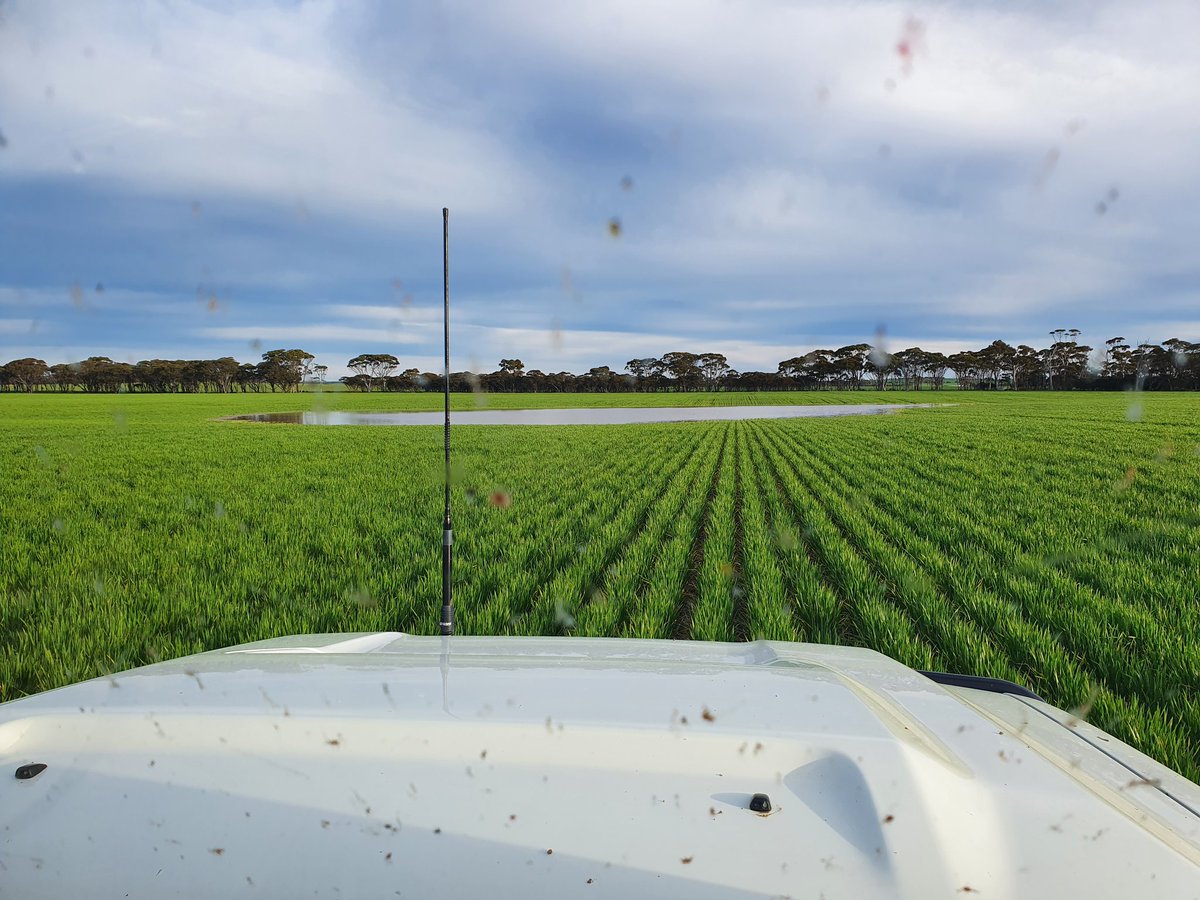 Sanderson Farms tweet media