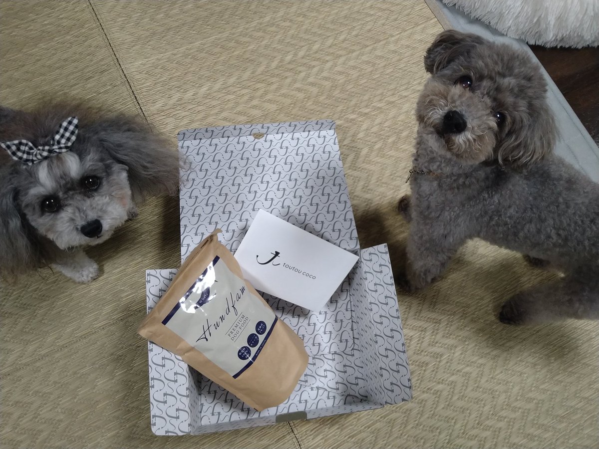 kotamamakt's tweet photo. こんばんは🐾
琥太郎と小雪です🐶🐩

@toutou_coco さんのプレキャンで当選したフードが届きました!
くじら🐳です!!
安心の国産、安心の原材料
ママがいつも使ってる食材だね!
ごはん作れない時の為に、フードを探してたので嬉しい!

くじら🐳っておいしいの⁉️
琥太郎と小雪は興味津々😋😋 https://t.co/akHXzdQtfN