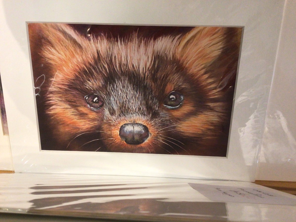 gallery_bay's tweet photo. Lovely art in the gallery, https://t.co/ytBzOW9D6m Alison Hughes. https://t.co/27F5rh49eZ