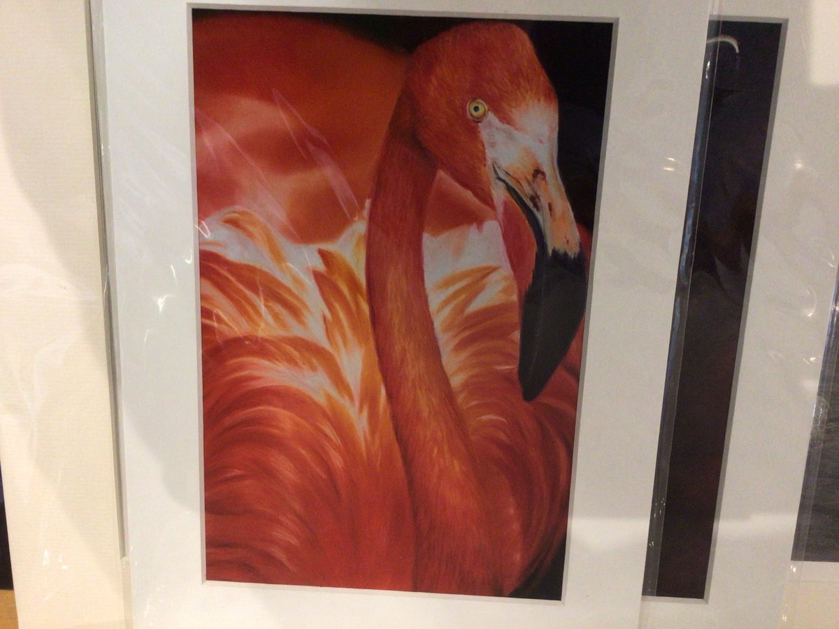 gallery_bay's tweet photo. Lovely art in the gallery, https://t.co/ytBzOW9D6m Alison Hughes. https://t.co/27F5rh49eZ