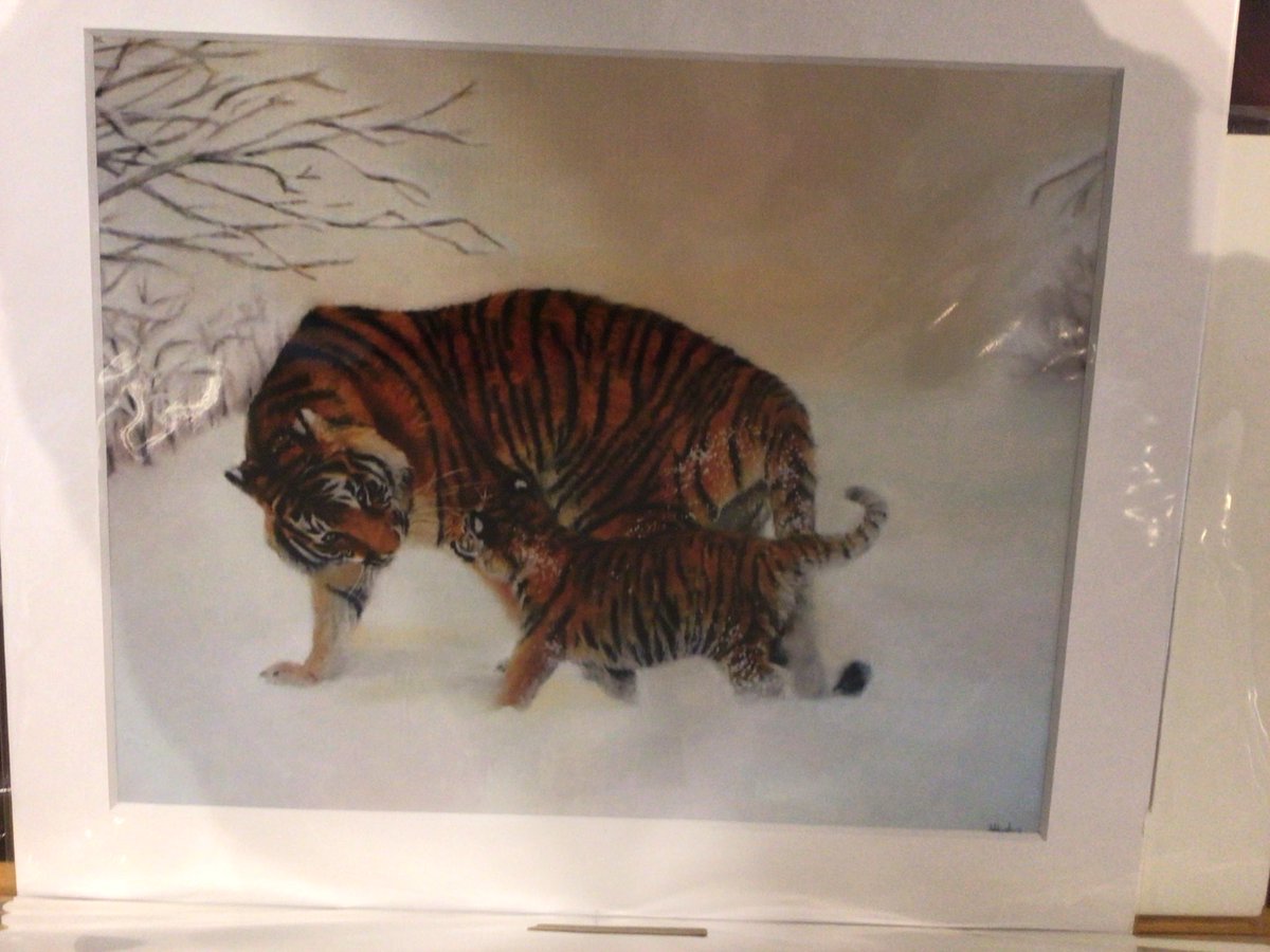 gallery_bay's tweet photo. Lovely art in the gallery, https://t.co/ytBzOW9D6m Alison Hughes. https://t.co/27F5rh49eZ