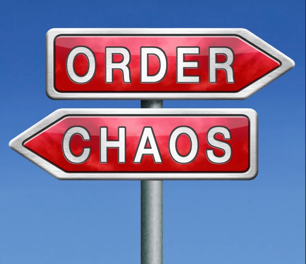 Michelle tweet media