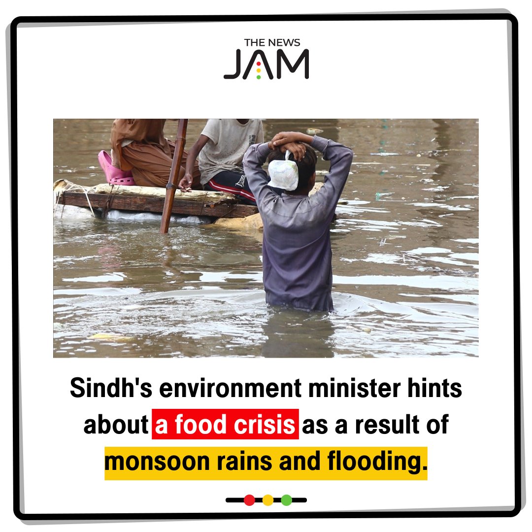 TheNewsJam's tweet image. Sindh's minister, #IsmailRahu, has expressed concern about a food shortage disaster as a result of widespread flooding and heavy rains that have destroyed the majority of the country's crops including cotton, sugarcane, dates, and rice. #FloodsInPakistan #latestnews #thenewsjam