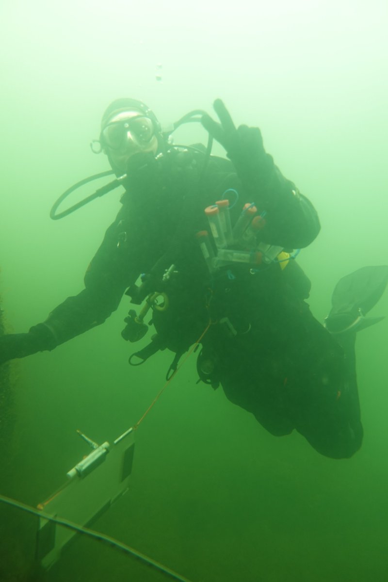 Idag firar vi Östersjödagen! Efter en lyckad fältsäsong kan vi tillsammans ta en titt tillbaka på vårt hav och de unika landskap som öppnar sig under ytan. #Östersjön #Itämeripäivä #MarineMapping #Åland 
Bilder tagna av Petra Arola, Charlotta Björklund och Karl Weckström.