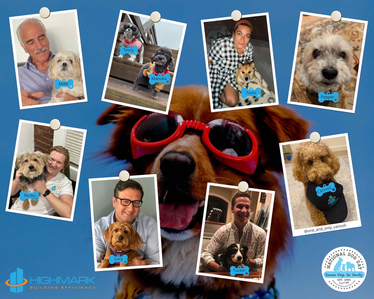#NationalDogDay is 8/26 &amp; encourages #dog adoption. At HIGHMARK, we love our four-legged friends &amp; many team members are proud dog owners. Thus, we wanted to share photos of the company pooches. Enjoy &amp; stay cool in the “dog days” of summer! #dogday #dogs #rescuedogs #adoptapet