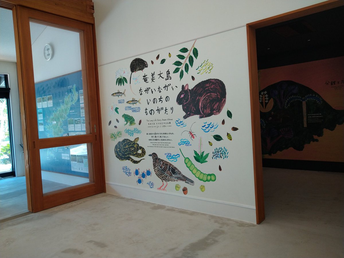 MINE70474046's tweet photo. 子ども���ログラムでも奄美の生き物講座がありましたが、その流れで翌週は新しく出来た世界自然遺産センターへ！派手なアトラクションはありませんが、奄美のことを知れるステキな場所でした。音響がすごい！溢れんばかりの鳥やカエルの声でした🐸🐦#フリースクール　#多様な学び　#遊び学び　#奄美大島 https://t.co/1PoCroCfvp