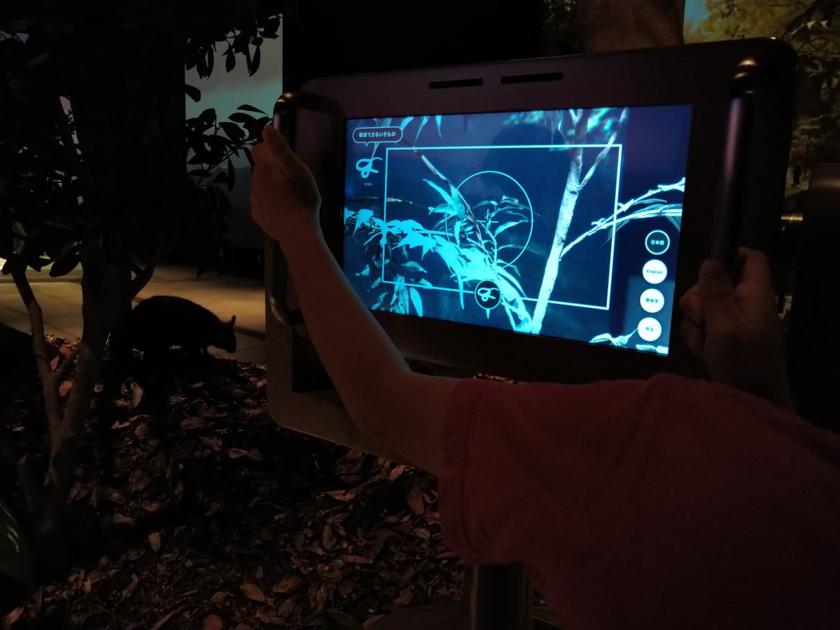 MINE70474046's tweet photo. 子ども���ログラムでも奄美の生き物講座がありましたが、その流れで翌週は新しく出来た世界自然遺産センターへ！派手なアトラクションはありませんが、奄美のことを知れるステキな場所でした。音響がすごい！溢れんばかりの鳥やカエルの声でした🐸🐦#フリースクール　#多様な学び　#遊び学び　#奄美大島 https://t.co/1PoCroCfvp
