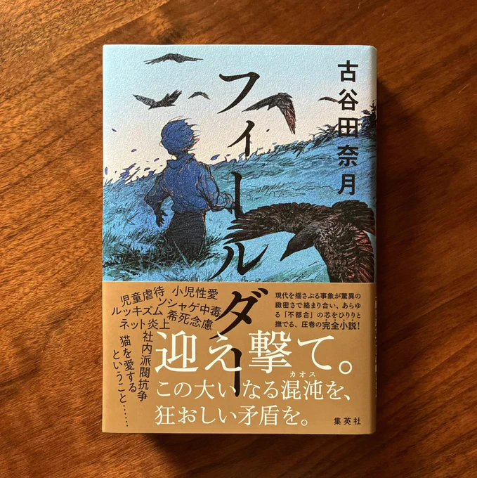 迎え撃て。この大いなる混沌を、狂おしい矛盾を。古谷田奈月さん著『フィールダー』(集英社)の装画を担当いたしました! デザインは須田杏菜さんです。8月26日発売。 