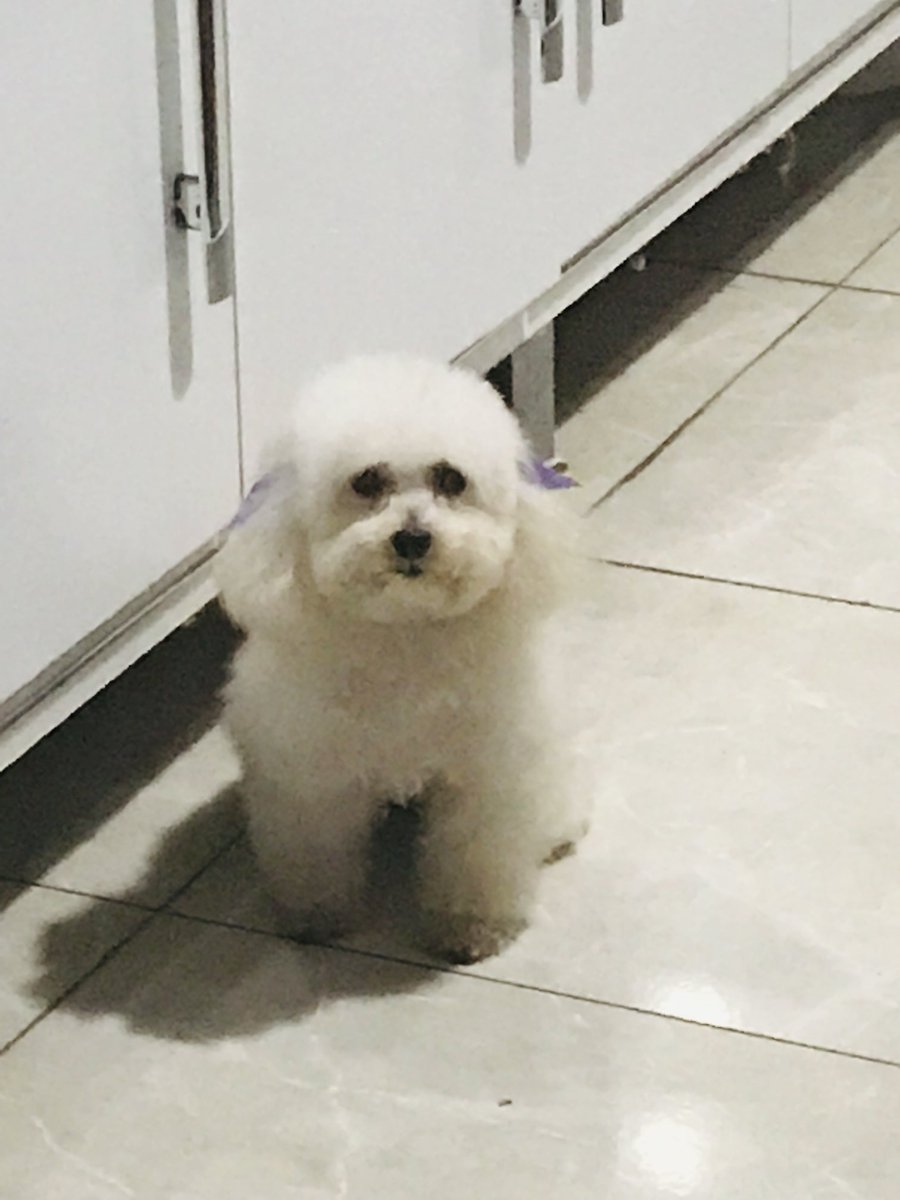 gragomother's tweet photo. Minha menininha 😭um pedacinho que se foi https://t.co/RdHqhd0uDF