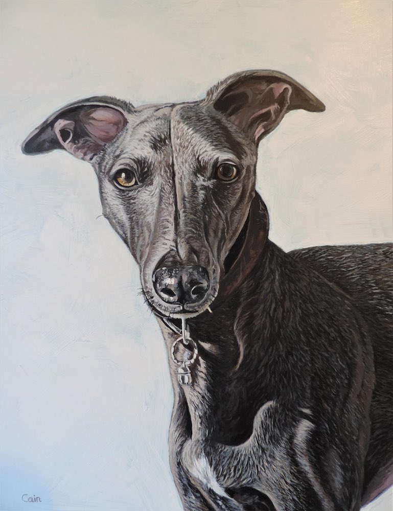 StudioWebsites's tweet photo. #ArtOfTheDay #art
#Artist: Jeff Cain – animal art
#Artwork: Diesel Blue Whippet 11x16in
Copyright with Artist
#jeffcainanimalart #jeffcain #commissions #whippet #DogsofTwittter
https://t.co/wkHCXDQWdX https://t.co/Fu6vZlEGxm
