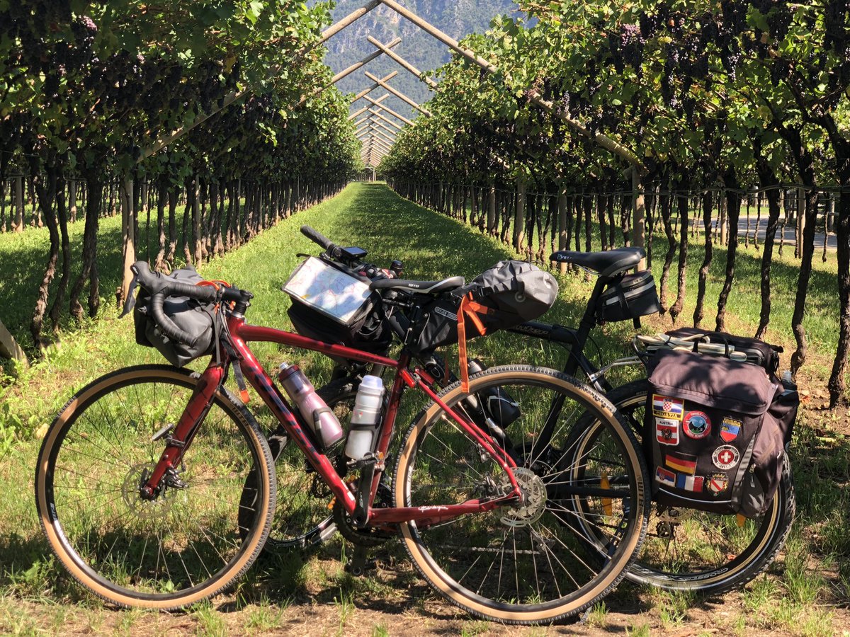 massimilianimrc's tweet photo. A proposito del vero motivo del viaggio… da Ceraino a Rovereto una splendida pedalata in una distesa apparentemente infinita di vigneti

#vadovetiportalabici https://t.co/F7BG0tx3nI
