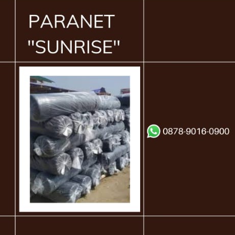 jaringanterlua1's tweet image. Best Quality, WA+6287890160900, Jaringan Terluas paranet 55 Surabaya
#hargaparanetpermeter2021,#paranet25persen, #paranet30persen, #paranet30,#hargaparanetlebar3mperroll