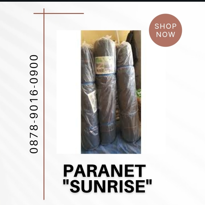 jaringanterlua1's tweet image. Terlaris, WA+6287890160900, Jaringan Terluas paranet 60 artinya  Surabaya
#paranet40persen, #jaringparanet40,#paranet40,#paranet50persen, #paranet55