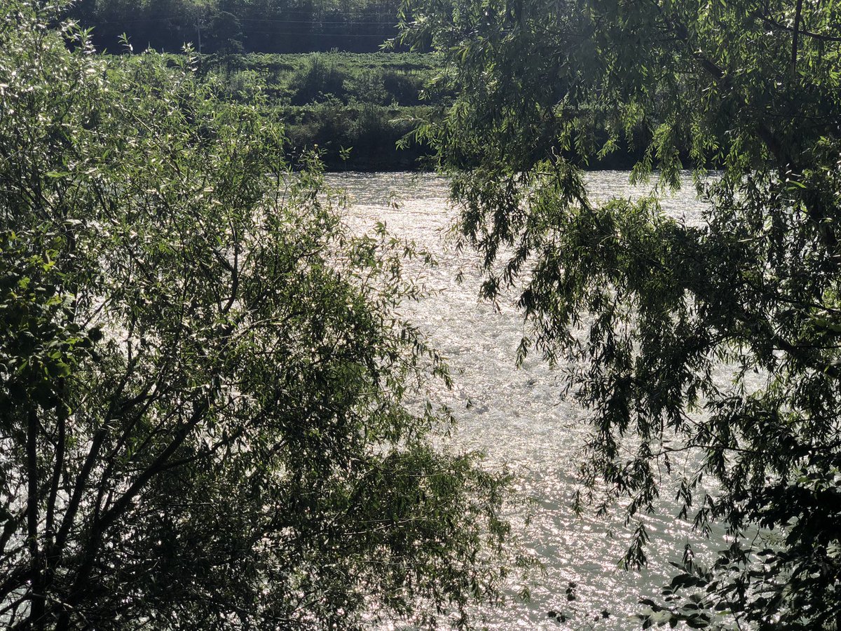 massimilianimrc's tweet photo. E poi c’è l’Adige che scorre…

#vadovetiportalabici https://t.co/27SMr7HOsI