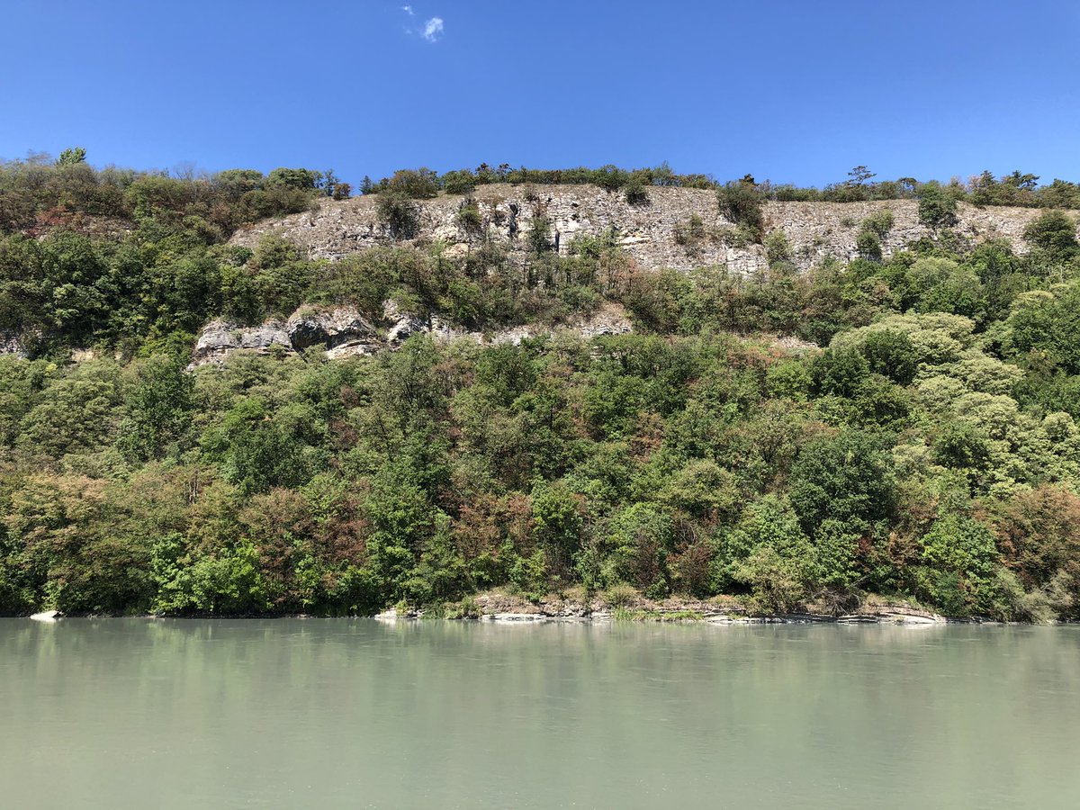 massimilianimrc's tweet photo. E poi c’è l’Adige che scorre…

#vadovetiportalabici https://t.co/27SMr7HOsI