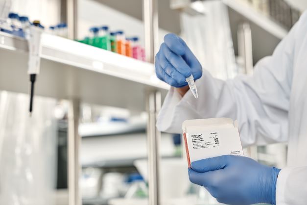 invitrogen's tweet image. &quot;The Superscript IV is an excellent product. I especially liked how fast the reaction can be done compared to other RTs&quot; – Dr. M. Cuajungco

Share your #ReverseTranscriptase experience. Explore  superior cDNA synthesis capability ow.ly/grhT50KjeOa

#LabTips #iloveMolBio