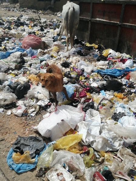 WasteAid (@wasteaid) on Twitter photo ♻️ With the financial and technical support of <a href="/DowPackaging/">Dow Packaging</a>, WasteAid will be working with partner <a href="/AlfanarVP/">Alfanar Venture Philanthropy</a> to promote #innovation in PE #plastic recovery and valorisation in #Egypt, through a challenge to identify and support #innovators and #entrepreneurs in this sector. ♻️ With the financial and technical support of <a href="/DowPackaging/">Dow Packaging</a>, WasteAid will be working with partner <a href="/AlfanarVP/">Alfanar Venture Philanthropy</a> to promote #innovation in PE #plastic recovery and valorisation in #Egypt, through a challenge to identify and support #innovators and #entrepreneurs in this sector.
