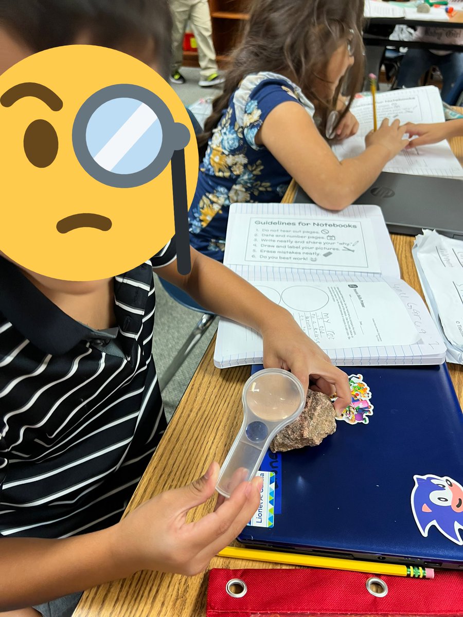 Andrea Ferrer tweet media