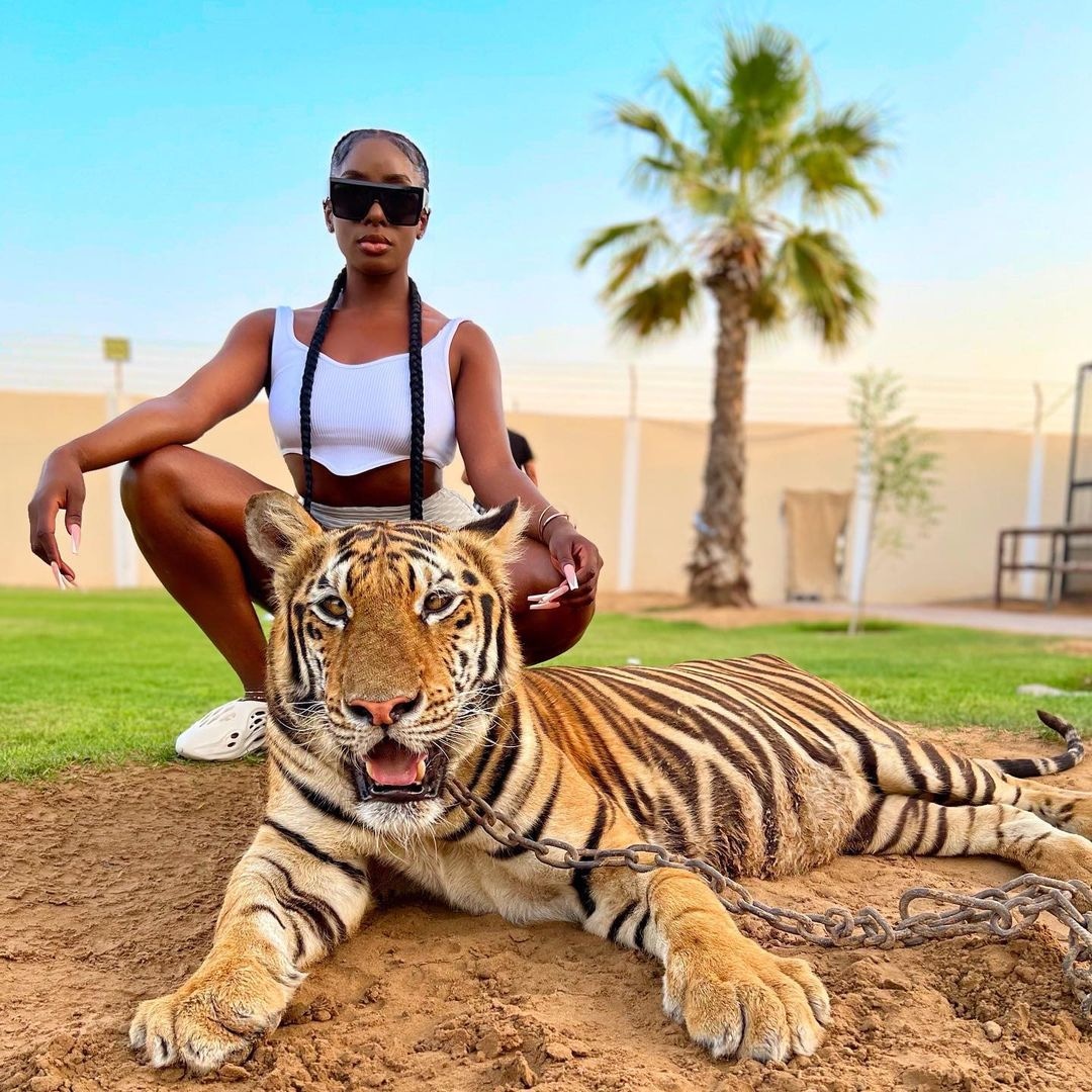 legitngnews's tweet photo. Nollywood star and famous DJ, Ms Dsf spends quality time with one of nature's finest beasts!
Dorcas get mind oooo😳😳
What jungle beast would you love to strike a pose with?
📸: @Ms_DSF (Instagram)
#legitng #legitposts #msdsf #thursdaybeauty https://t.co/PWWrCCtdZG