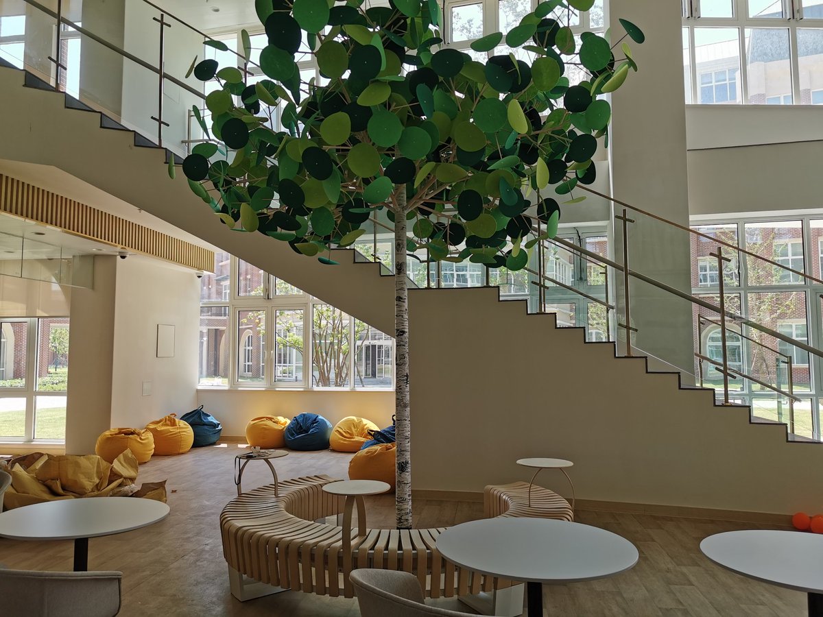 MartaMonforte_'s tweet photo. "If you have a garden and a library, you have everything you need.” Cicero

My new space coming along!

#schoolibraries #internationaleducation
#librariesmatter https://t.co/hHW8L9rqzA