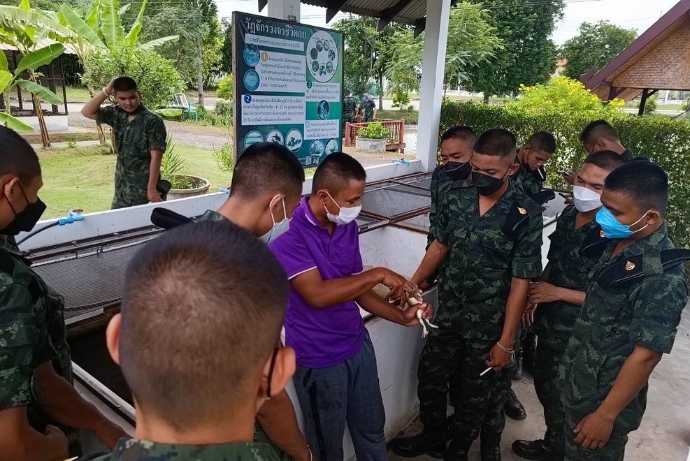 ascom2army2's tweet image. บชร.2 จัดการฝึกอบรมเพื่อสร้างอาชีพให้แก่พลทหารกองประจำการ ที่จะปลดประจำการเป็นกองหนุน 31 ส.ค. 65 ณ ศูนย์การเรียนรู้ปรัชญาเศรษฐกิจพอเพียงตามแนวพระราชดำริ ภาคตะวันออกเฉียงเหนือ ค่ายสุรนารี อ.เมือง จ.นครราชสีมา

#เป็นทหารได้อะไรมากกว่าที่คิด
#กองทัพภาคที่2
#กองบัญชาการช่วยรบที่2