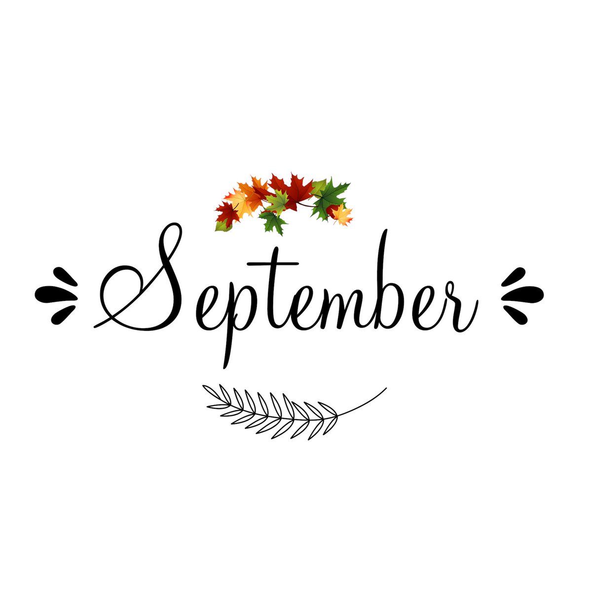 LTP_UK's tweet photo. We've got a busy month ahead with five Tileflair Trade Days in September. The first two events, next Thursday and Friday, are at Tileflair Hedge End (SO30 2JR) from 12-6pm and Tileflair Chichester (PO19 8NS) from 11am-5pm. Hope to see you there! π #tradeevent #tileflair #tilers https://t.co/LFBdFSlZBj