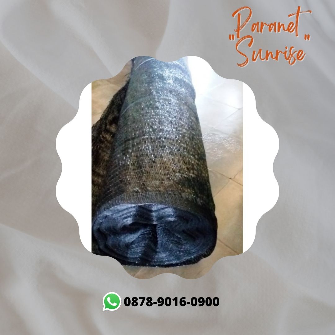 ParanetProdusen's tweet image. Kualitas Terjamin, WA+6287890160900, Produsen Desain Paranet Surabaya

paranet design, paranet dan plastik uv, daya tahan paranet, desain paranet, dinding paranet

#paranetdesign, #paranetdanplastikuv, #dayatahanparanet, #desainparanet, #dindingparanet