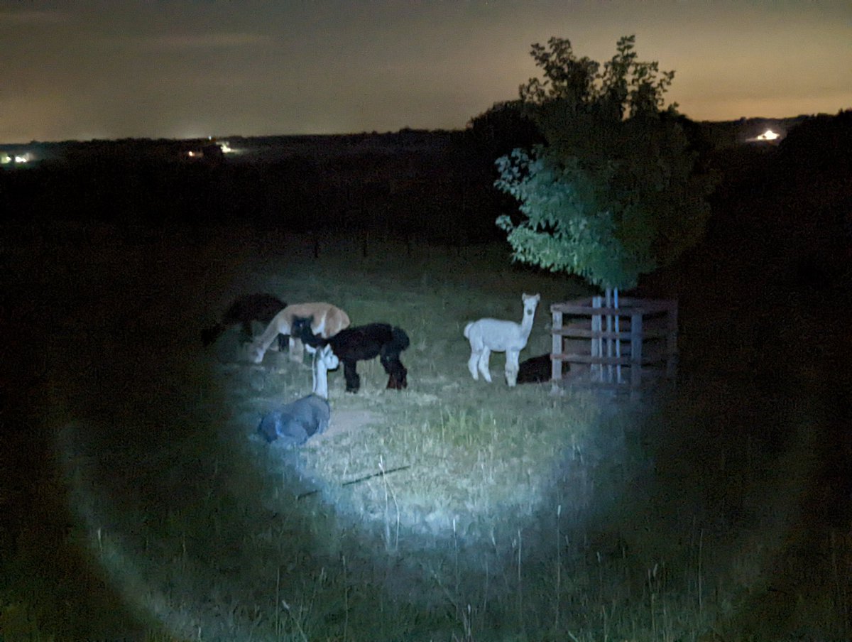 DocBohn's tweet image. Good morning