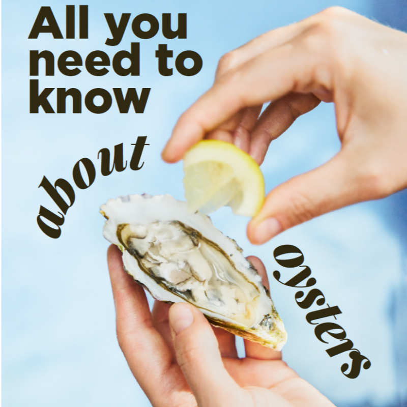 METRO_News's tweet photo. Take a glimpse at our freshly published #MPULSE magazine! Oysters, haute cuisine, fusion kitchen &amp; food trends - this issue is all about #gourmet!👨‍🍳🍽  Hungry for more? Download the current issue here or check out MPULSE online at https://t.co/NdqeqqrbHI /nr
