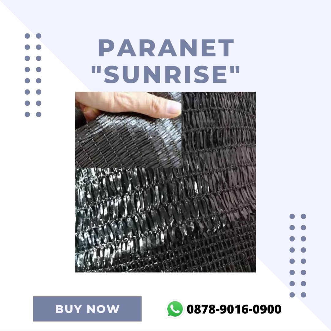ParanetProdusen's tweet image. Kualitas Terjamin, WA+6287890160900, Produsen Paranet Atau Plastik UV Surabaya

paranet design, paranet dan plastik uv, daya tahan paranet, desain paranet, dinding paranet

#paranetdesign, #paranetdanplastikuv, #dayatahanparanet, #desainparanet, #dindingparanet