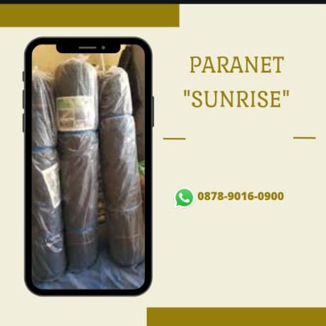 jaringanterlua1's tweet image. Partai Besar, WA+6287890160900, Jaringan Terluas arti paranet 60 Surabaya
#hargaparanet55,#paranettanaman50,#paranet65persen, #paranet60,#paranet65