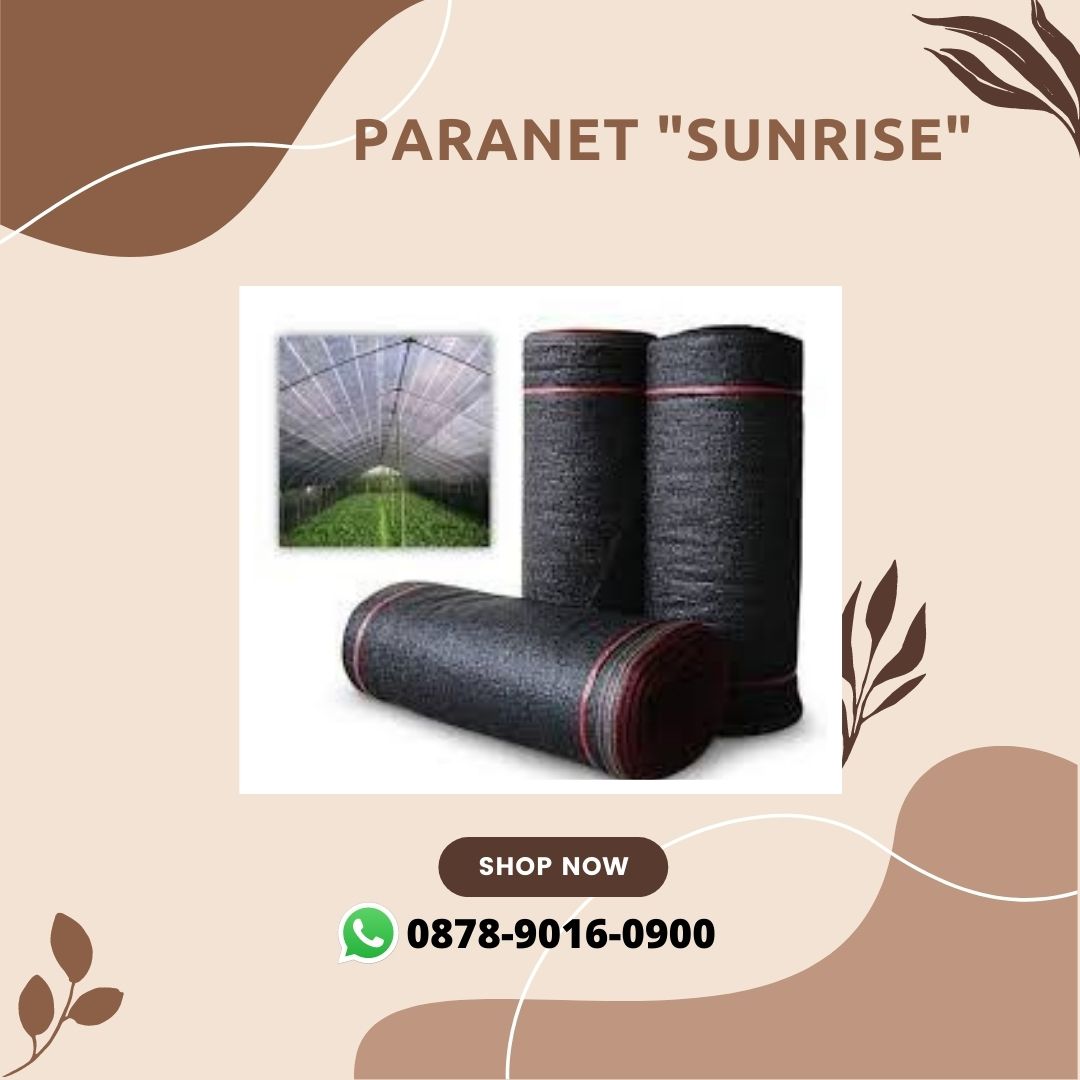 ParanetProdusen's tweet image. Kualitas Terjamin, WA+6287890160900, Produsen Daya Tahan Paranet Surabaya

paranet design, paranet dan plastik uv, daya tahan paranet, desain paranet, dinding paranet

#paranetdesign, #paranetdanplastikuv, #dayatahanparanet, #desainparanet, #dindingparanet