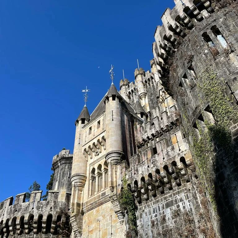 SergioVDiaz's tweet image. 📍 Castillo de Butrón - Gatika.

Lugar de cuento que habla de cruentas batallas y de una casa-torre que se convirtió en castillo.🏰

#Turismo #PaísVasco #Gatika #Castillo #Butrón #Patrimonio #Naturaleza