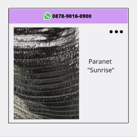 jaringanterlua1's tweet image. Dijamin Bagus, WA+6287890160900, Jaringan Terluas harga paranet 65 Surabaya
#perbedaanparanet75dan85,#paranetnylon75,#paranettanaman70,#jaringparanet70,#paranet85