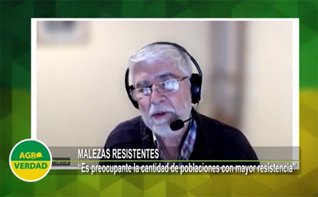 Agroverdad's tweet photo. #MalezasCba🌿
📌el 1/9 en Córdoba

Malezas Resistentes. La creciente problemática de Rama Negra y Eleusine índica

>> https://t.co/PdMABHb1xe https://t.co/WHuXwFAdu3