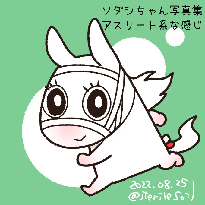 今更だけどソダシさんの写真集買った。レースシーンが大いのでアスリート写真集っぽいですね。文字は少ない。子馬時代は4枚。同期のユーバーレーベンさんが5枚写ってる(サトノレイナスはもっと)イラスト、走るソダシさんとレース後に須貝先生を厚い胸板で抱き締めるンダツさん。 