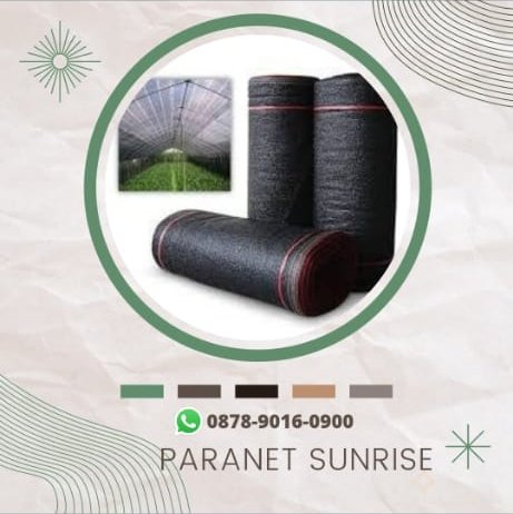 jaringanterlua1's tweet image. High Quality, WA+6287890160900, Jaringan Terluas paranet 75 Surabaya
#perbedaanparanet75dan85,#paranetnylon75,#paranettanaman70,#jaringparanet70,#paranet85