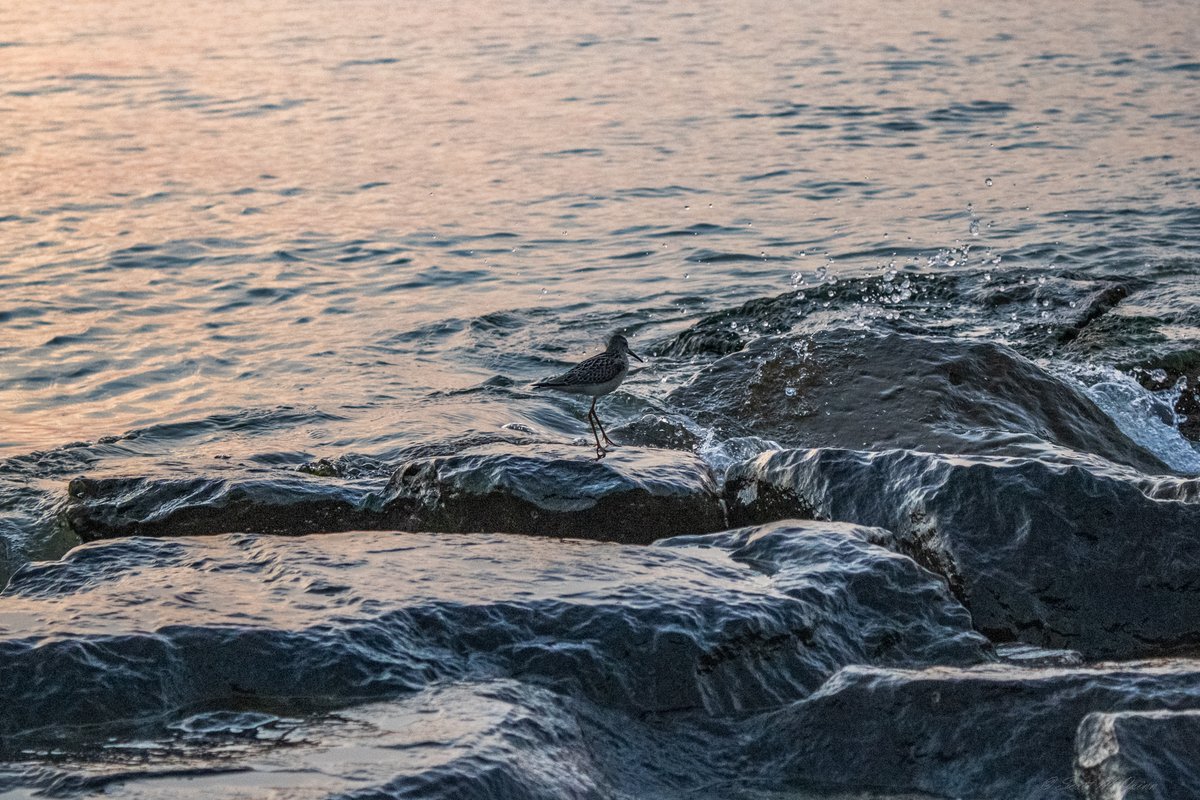 scottmcquinn1's tweet image. It&apos;s Done! 🤣🤣👍 best morning weather on the beach this week. 💯