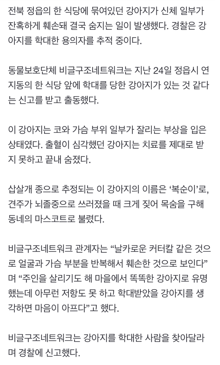 museun_happen's tweet photo. 뇌졸중 주인 살린 똘똘이 개 '복순이'… 보신탕집서 죽은 채 발견 https://t.co/9VYLyHTn8w