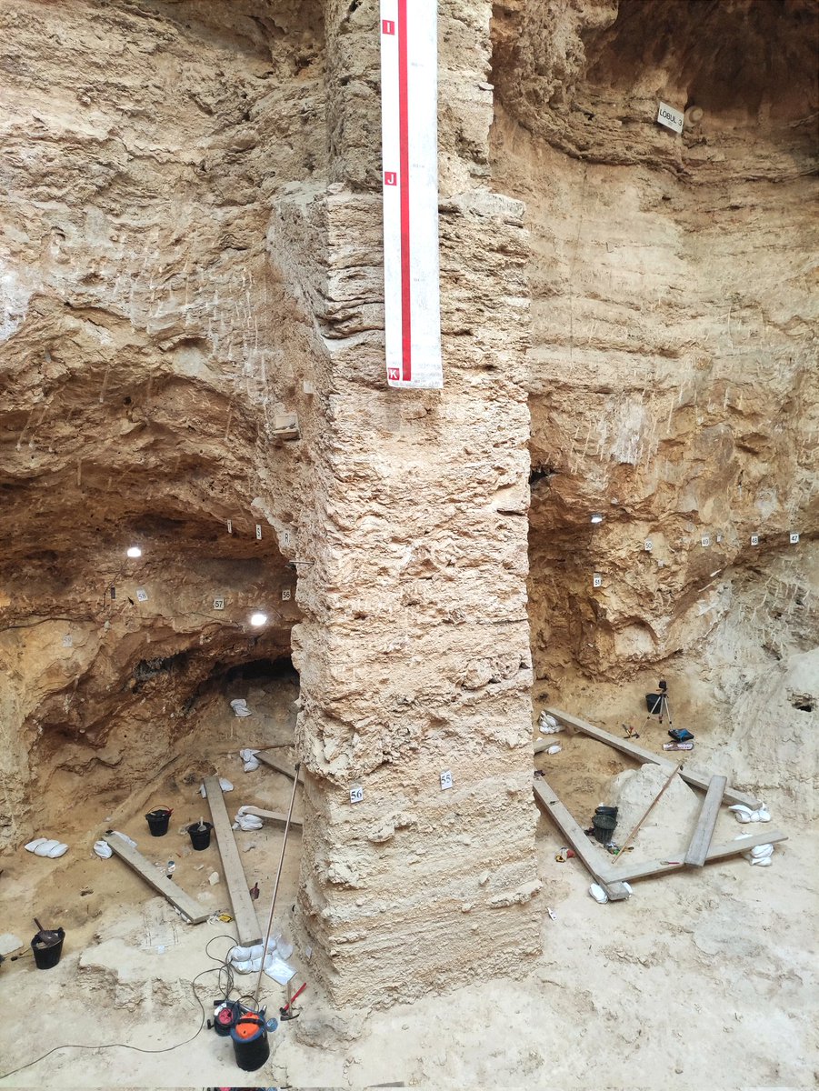 M_Marqueta's tweet photo. La verdad es que este verano no podía acabar mejor! Desde que fue mi primera excavación allá en 2015, este yacimiento no ha dejado de sorprenderme. Menos aún con la guinda del pastel del 40º aniversario 💀 
Enhorabuena equipazo 💪🏻
@iphes @NEAN_Capellades https://t.co/TCYwIHCZTW