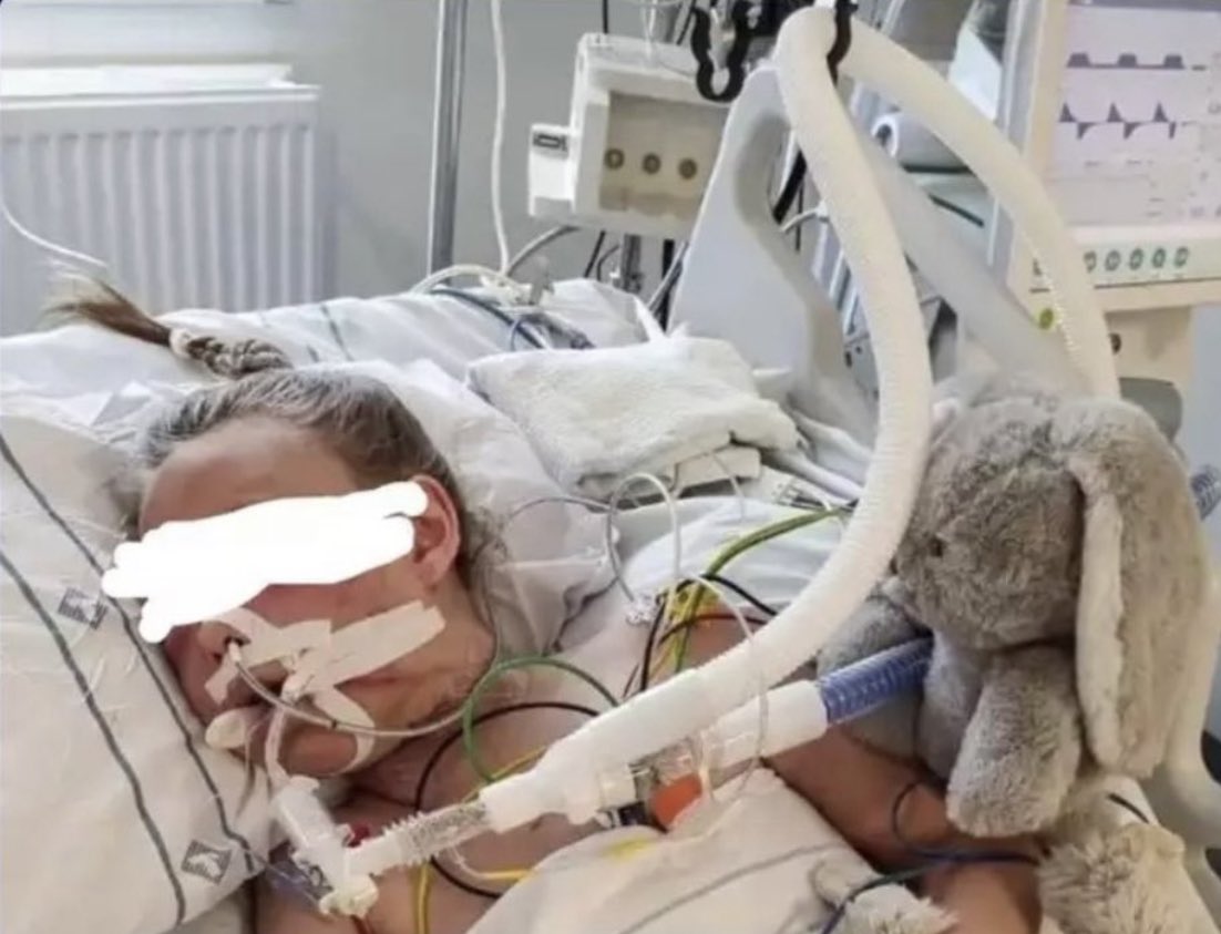 Dykaren21's tweet photo. Idag är det 7v sen 9-årig flicka med ett helt liv framför sig var ute &amp; lekte i Skellefteå när hon mötte Abushi, barnlajvande etiopier då 13år, som överföll, misshandlade, brutalt våldtog, ströp &amp; släpade in henne i en skogsdunge. Flickan är fortf ej kontaktbar💔

Asylhaveriet!🕌 https://t.co/fqyv74V2Sq