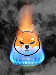 SuhelMemon4's tweet image. Shiba Inu community forecast a 111 trillion SHIB burn.

According to the Shiba Inu community, 111T SHIB could be burnt in the upcoming year.

Shiba Inu price is set to recover its losses, according to analysis of the SHIB chart’s rising formation.