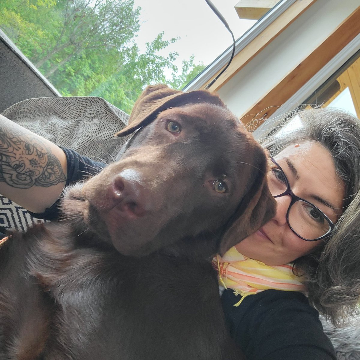 Mtl_patB's tweet photo. @JasonRBradwell It's a major lifestyle change. But so worth it.
Hubby &amp; I welcomed Timber in February and our lives have been transformed.
More exercise, more playful moments, more laughs.
But also, more work, more planning around vacations and activities.
Invest in training from the get go. https://t.co/mAzf9q2HYT