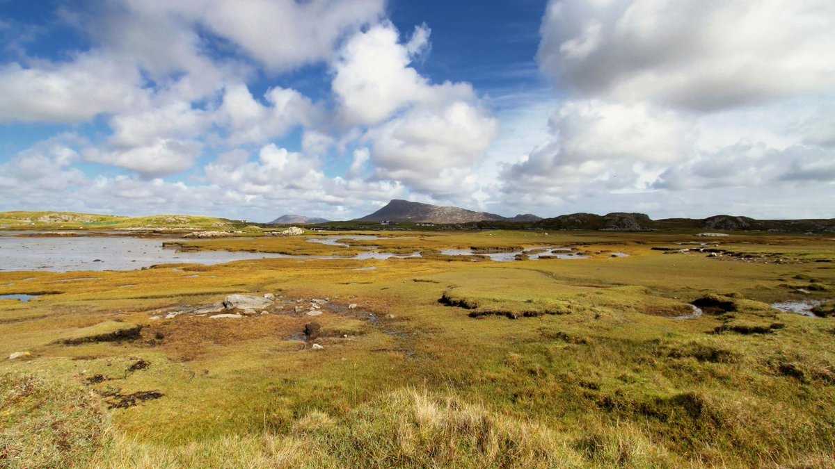 New research uses #CitizenScience to estimate soil #BlueCarbon stocks in Great British #saltmarshes to aid their protection &amp; management. This represents the start of including saltmarshes in the national inventory accounting of blue carbon #ecosystems 👉 buff.ly/3C72bLK