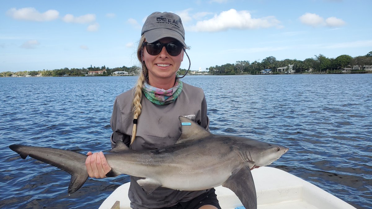 Fisheries Ecology & Conservation tweet media